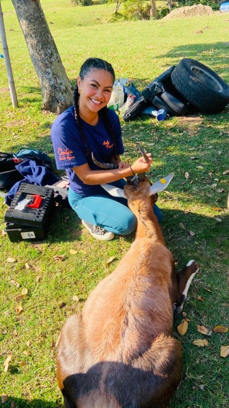 game capture blesbok