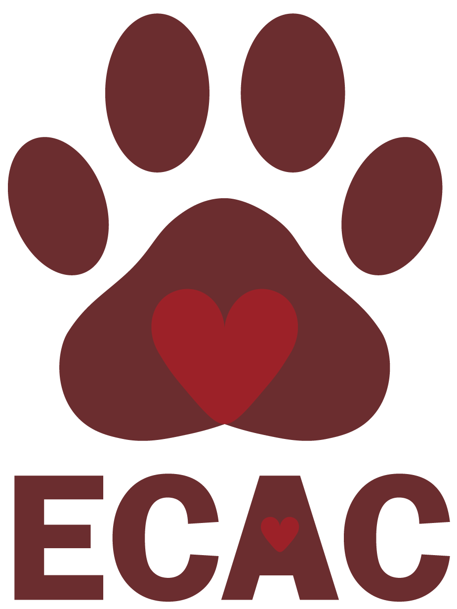 main01 ecac burgundyf